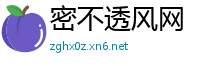 密不透风网